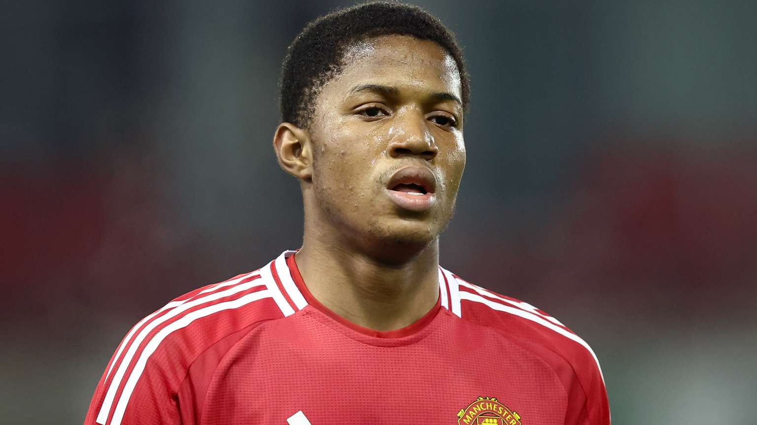 分差距的拉 分差距的拉